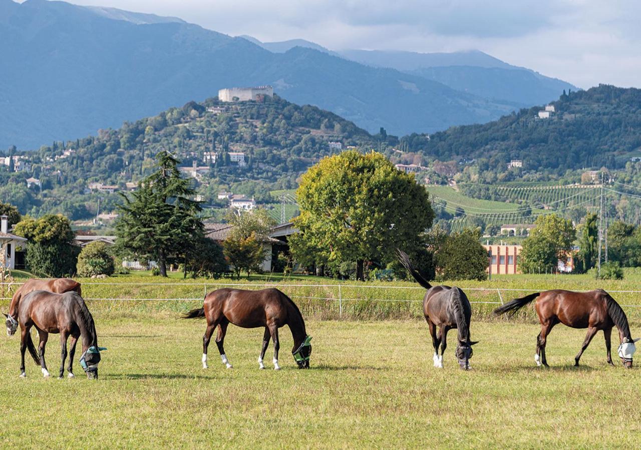 Progress Country & Wine House Lejlighedshotel Asolo Eksteriør billede